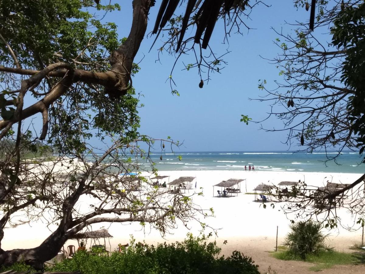Zarafa House Bed and Breakfast Diani Beach Exteriör bild